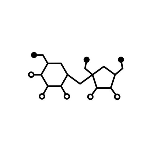 Взрослая сахароза Геншин