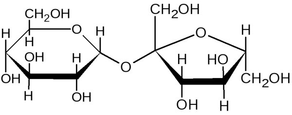 Сахароза Геншин