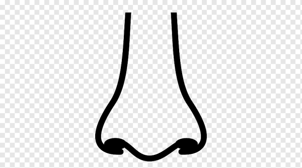 Векторный нос