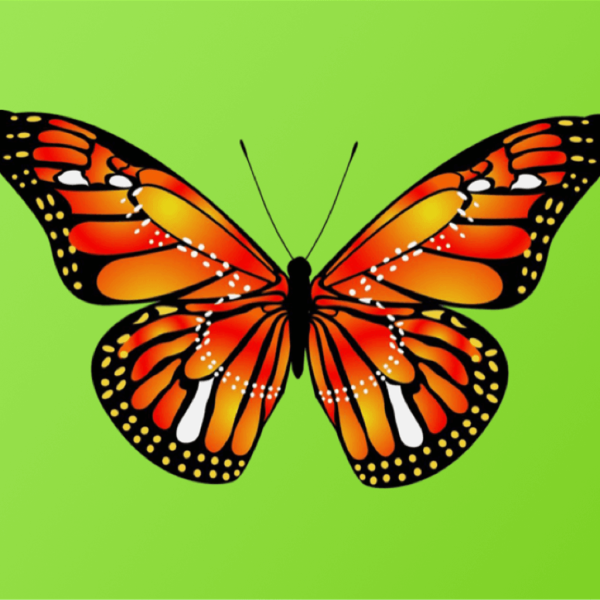 Картинки Стикеры бабочки