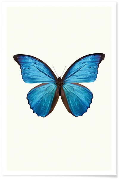 Бабочка смайлик айфон