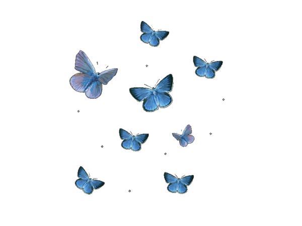 Бабочка с коровьим принтом