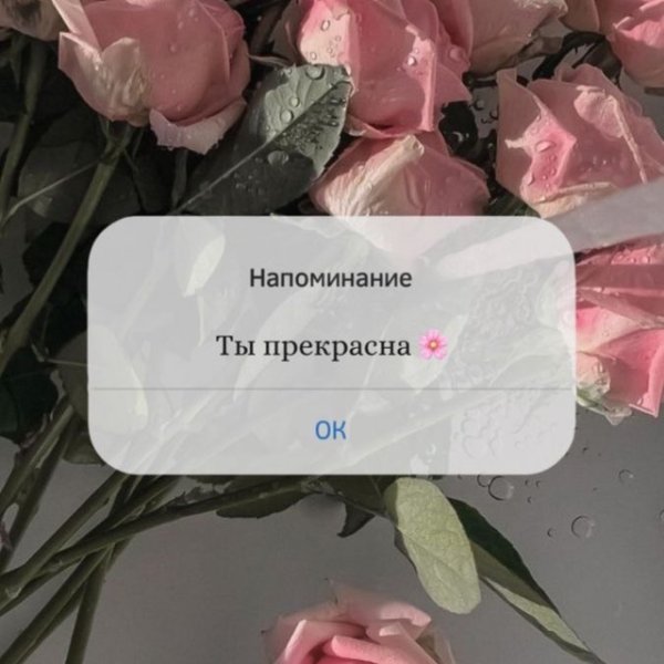 Стикеры отчаянные домохозяйки телеграмм