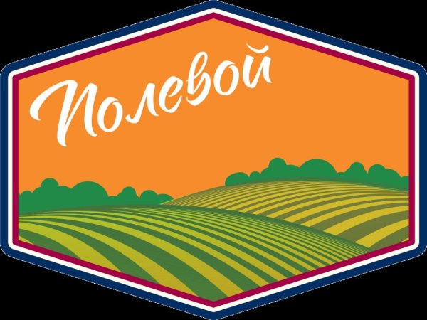 Полевой лагерь Артек логотип