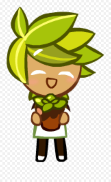 Печенька из кукира РАН кофе