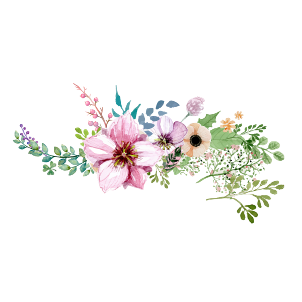 Акварельные цветы на прозрачном фоне