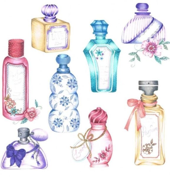 Духи вектор