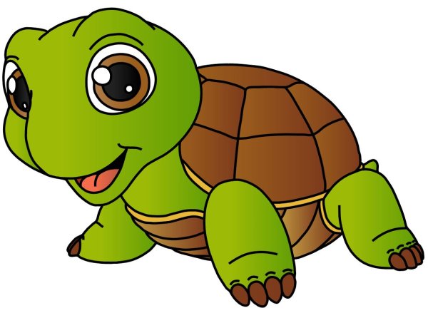 Векторные изображения черепаха