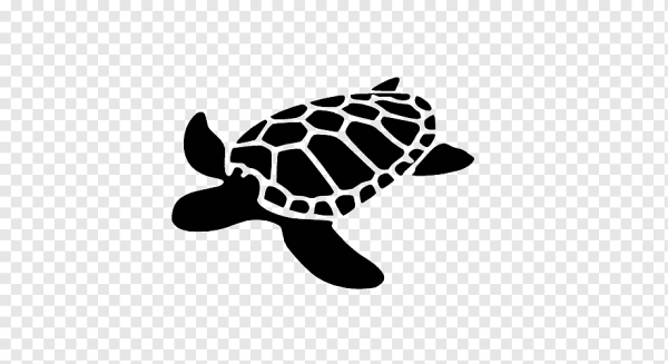 Векторные изображения черепаха