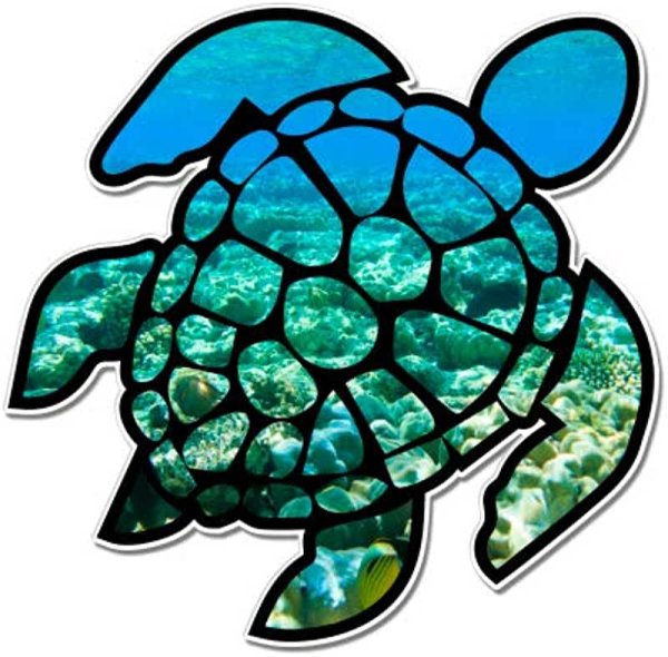 Айкон черепаха