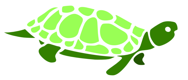 Черная черепаха символ