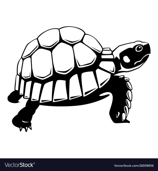 Черепаха референс