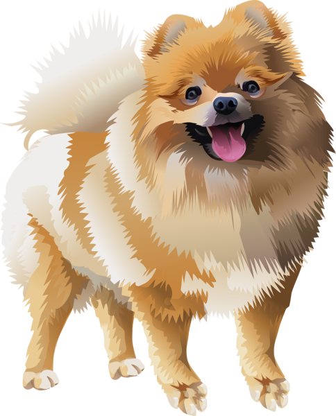 CARTOONIZEMYPET шпиц