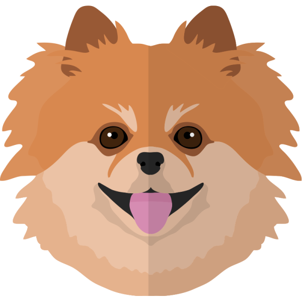 Смайл померанский шпиц