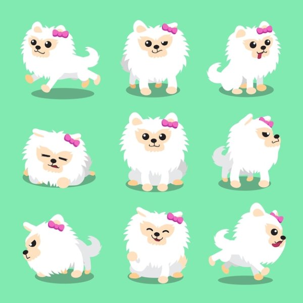 Померанский шпиц силуэт