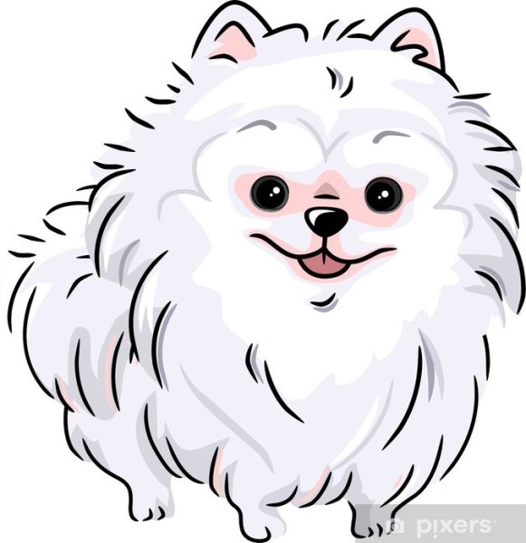 Наклейки шпиц