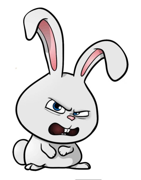 Недовольный зайчик