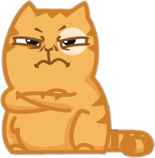 Злой кот персик