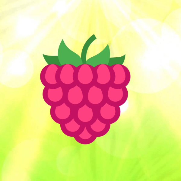 Малина стилизованная