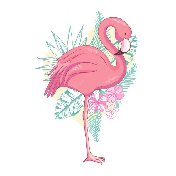 Фламинго в очках