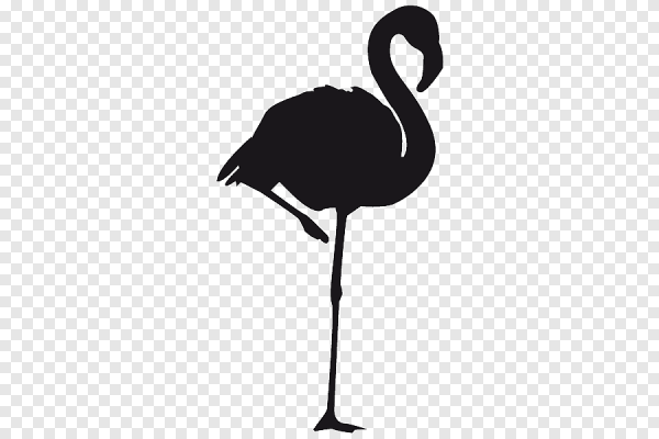 Фламинго акварель на белом фоне