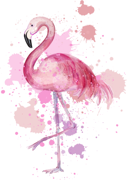Стикеры Фламинго