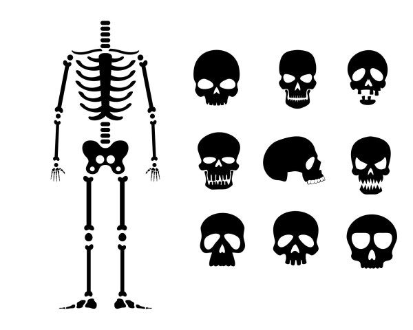 Череп и перекрещенные кости