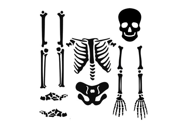 Череп и скрещенные кости