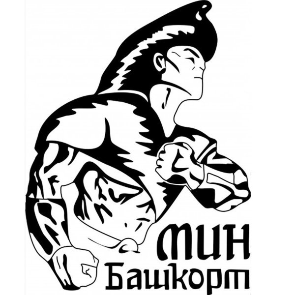 Башкорт организация