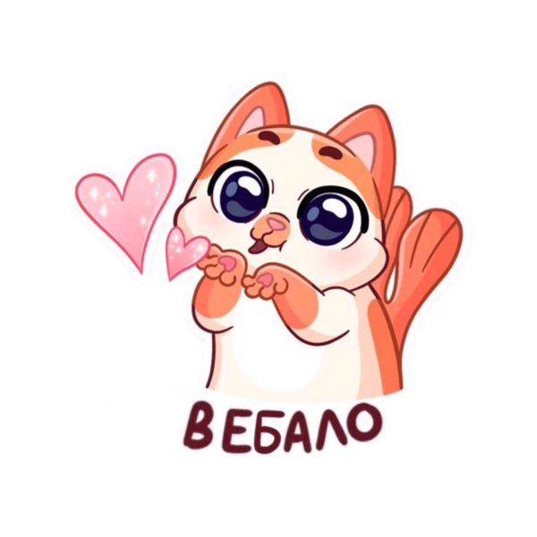 Векторный котик