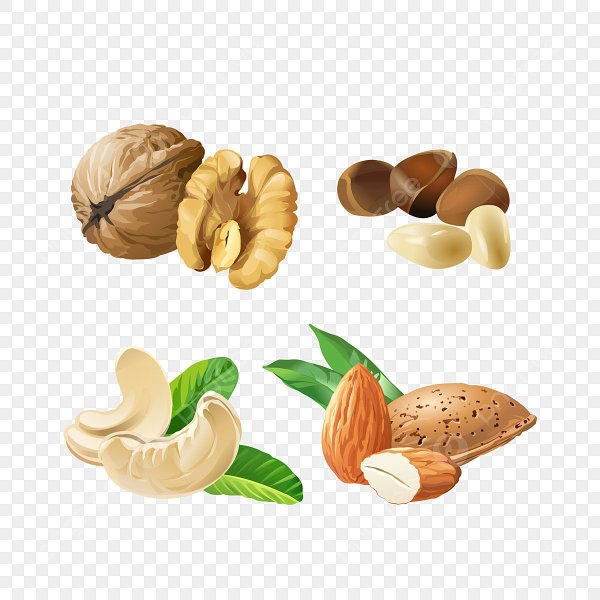 Орехи ассорти вектор