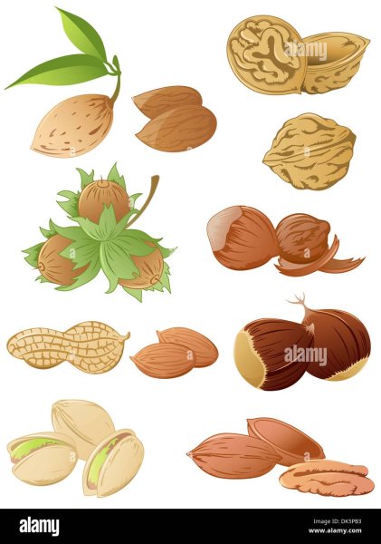 Орех стикер