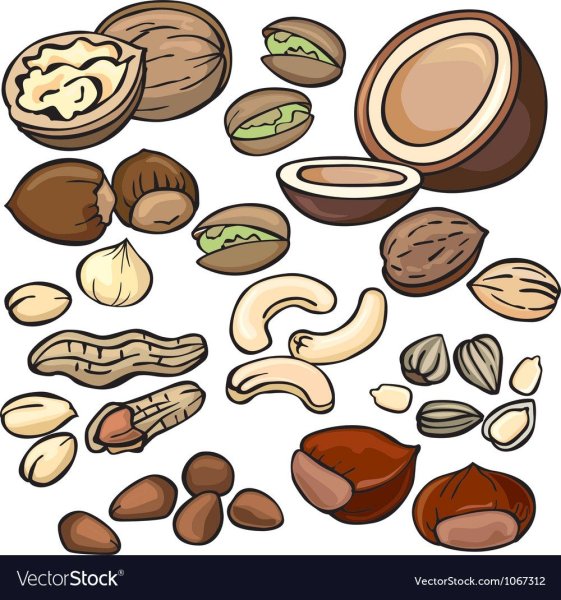 Орехи мультяшные