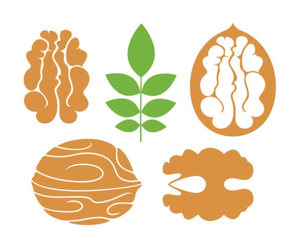 Грецкий орех силуэт