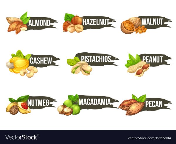 Логотип орехи сухофрукты