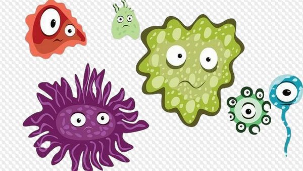 Бактерии на прозрачном фоне