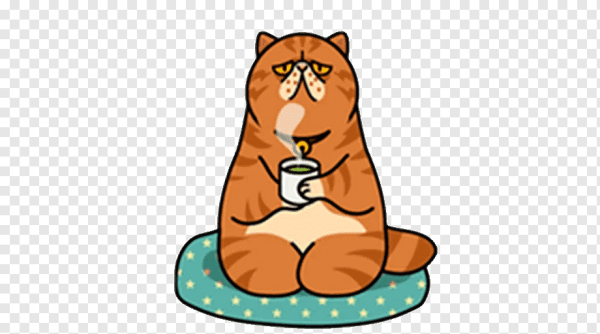 Смешные котики Стикеры