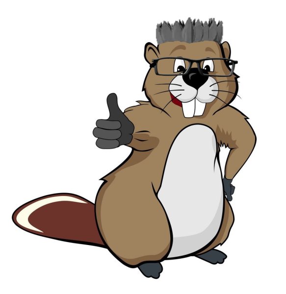 Рисунок бобра