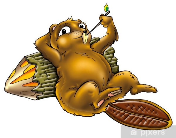 Плакат с бобром