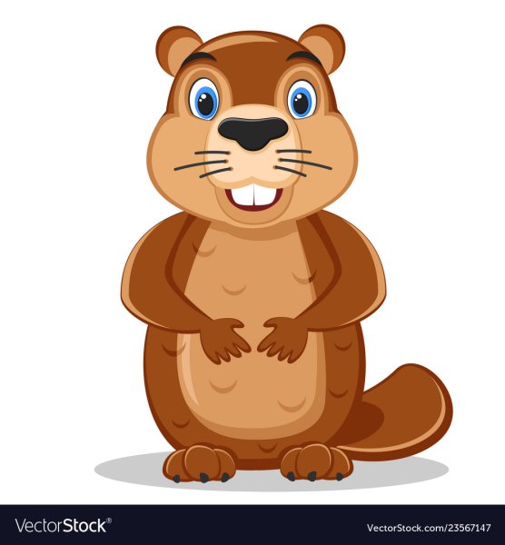 Байбак вектор