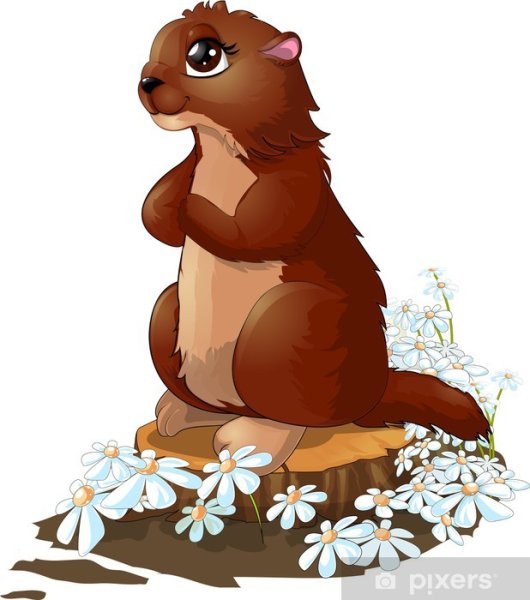 Суслик клипарт