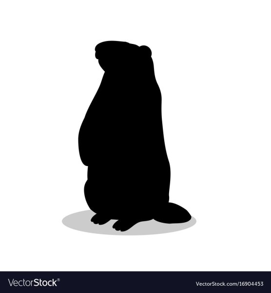 Сурок силуэт