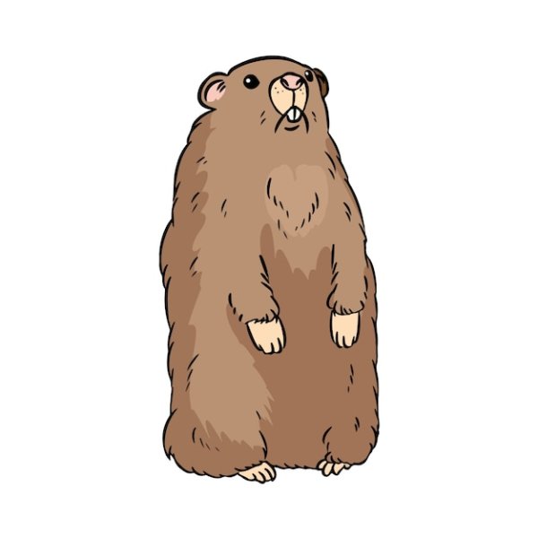 Суслик вектор