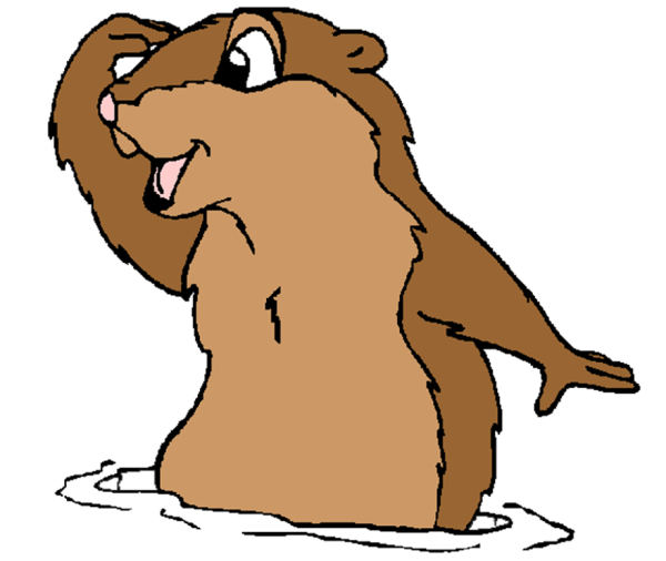 Сурок карикатура