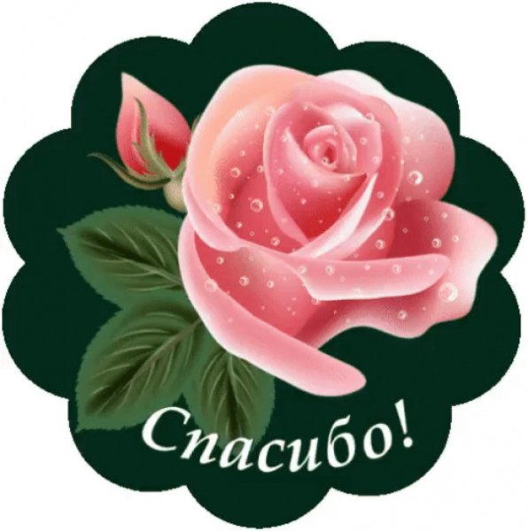 Красивые Стикеры с благодарностью