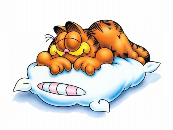 Всемирный день сна