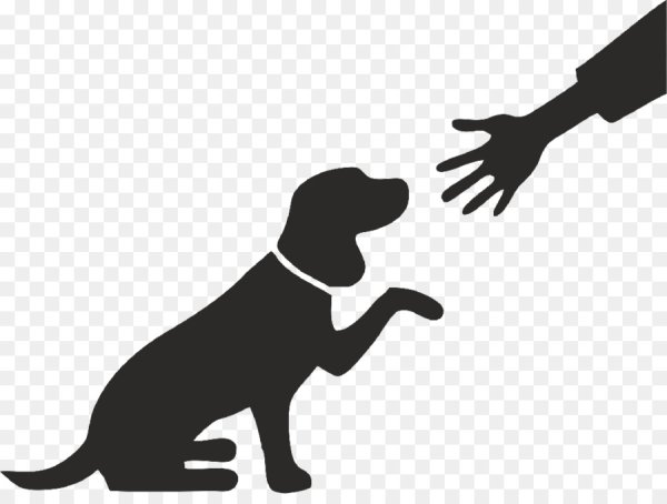 Силуэт бездомной собаки