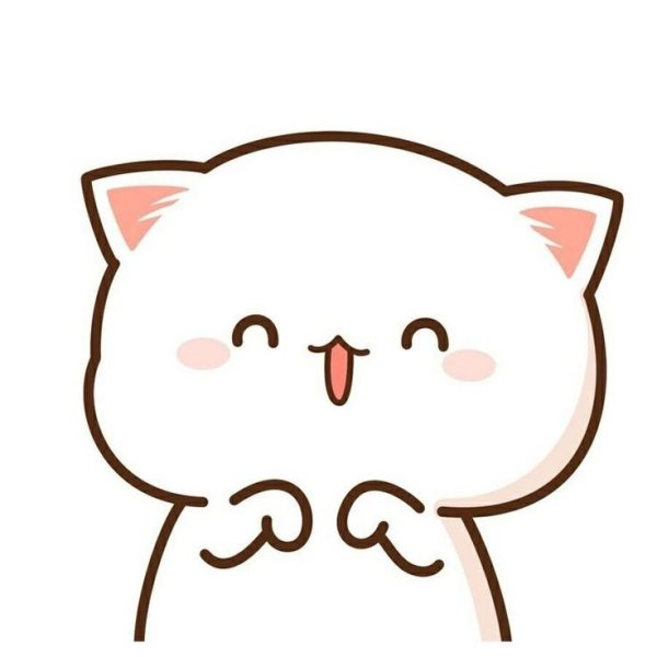 Кавайные котики любовь