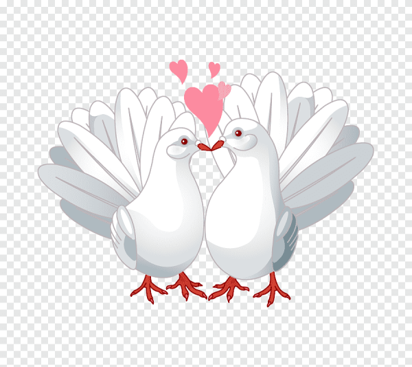 Свадебные голубки