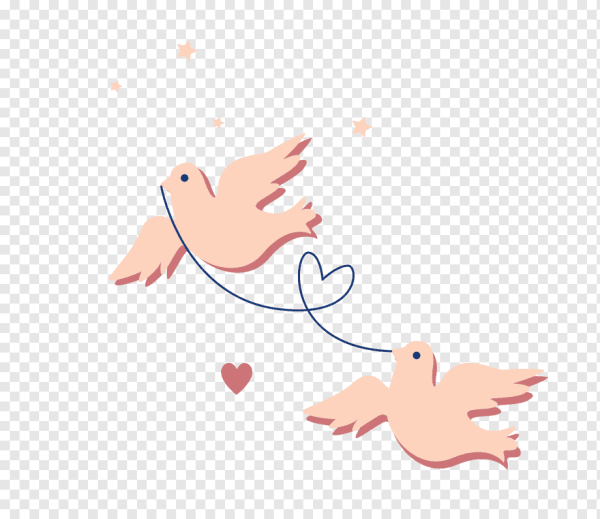 Фон голуби вектор